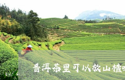 普洱茶里可以放山楂吗/2023092801894