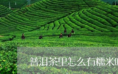 普洱茶里怎么有糯米味/2023062488251