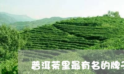 普洱茶里最有名的牌子是/2023081707370