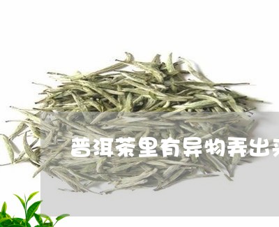 普洱茶里有异物弄出来/2023092773938