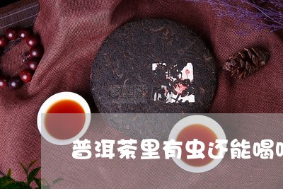 普洱茶里有虫还能喝吗/2023061684926