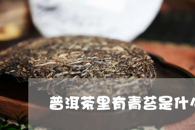 普洱茶里有青苔是什么茶/2023121752605