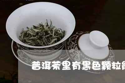 普洱茶里有黑色颗粒能喝吗/2023110763817