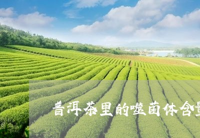 普洱茶里的噬菌体含量高吗/2023112407369