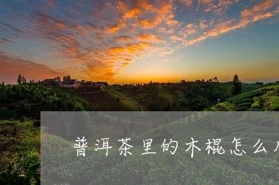 普洱茶里的木棍怎么用/2023062245382