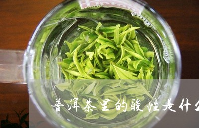 普洱茶里的酸性是什么/2023061928571