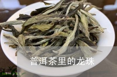 普洱茶里的龙珠/2023081502814