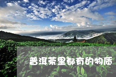 普洱茶里都有的物质/2023110314725