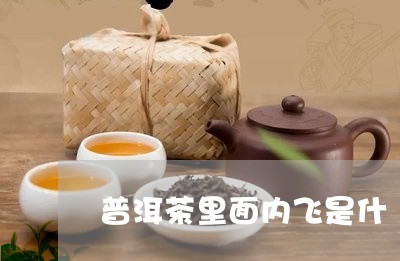 普洱茶里面内飞是什麼/2023092727151