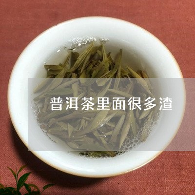 普洱茶里面很多渣/2023120431703