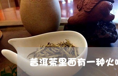 普洱茶里面有一种火味/2023072136381