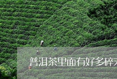 普洱茶里面有好多碎末/2023080227148