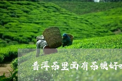 普洱茶里面有茶梗好吗/2023100731895