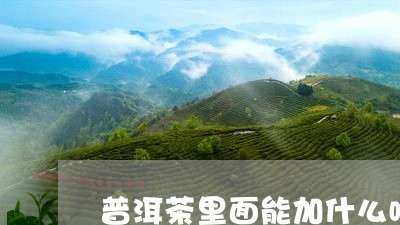 普洱茶里面能加什么喝/2023093041493