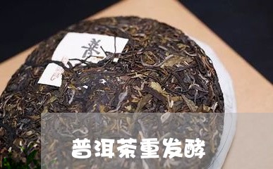 普洱茶重发酵/2023042897263