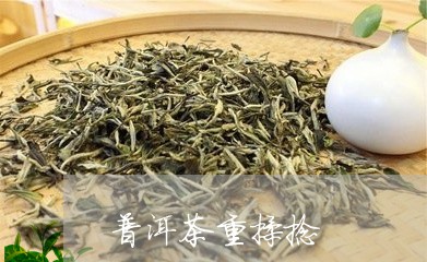 普洱茶重揉捻/2023042668200