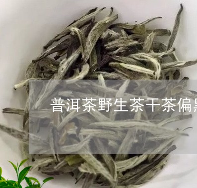 普洱茶野生茶干茶偏黑还是偏白/2023121781637