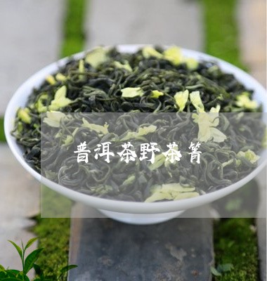 普洱茶野茶箐/2023042854436