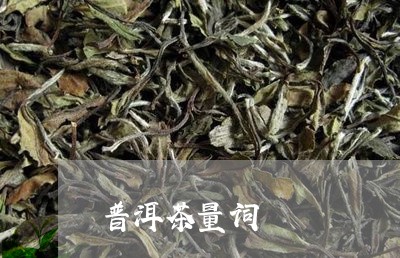 普洱茶量词/2023090551713