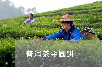 普洱茶金圆饼/2023042787329