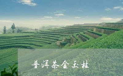 普洱茶金玉枝/2023042626980