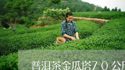 普洱茶金瓜塔70公斤/2023092949301