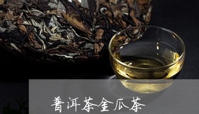 普洱茶金瓜茶/2023042812490