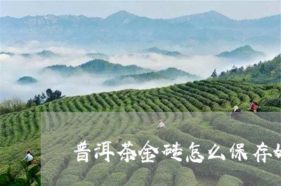 普洱茶金砖怎么保存好喝/2023112723028