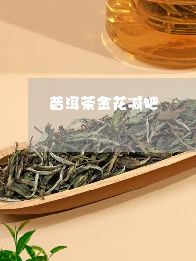 普洱茶金花减肥/2023082671617