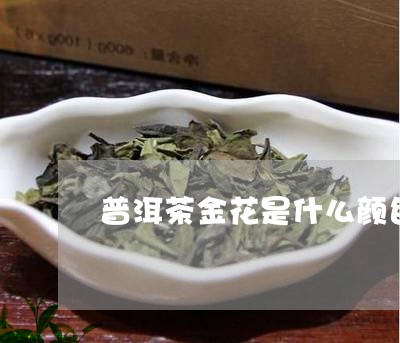 普洱茶金花是什么颜色/2023062841404