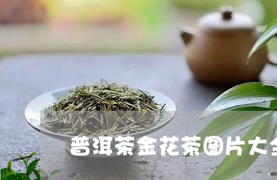 普洱茶金花茶图片大全/2023080246060