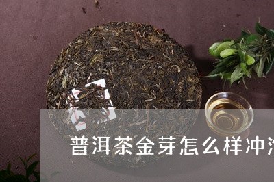 普洱茶金芽怎么样冲泡/2023072203937