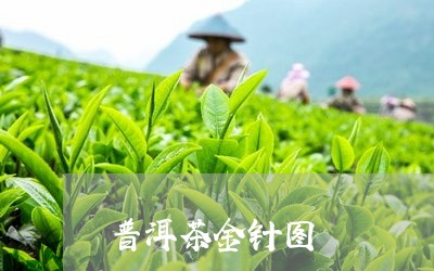 普洱茶金针图/2023042665612