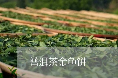 普洱茶金鱼饼/2023042670459