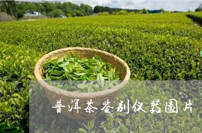 普洱茶鉴别仪器图片/2023120526158