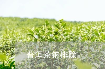 普洱茶钠排除/2023042764311