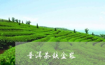 普洱茶铁盒装/2023042937912