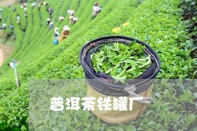 普洱茶铁罐厂/2023042656035