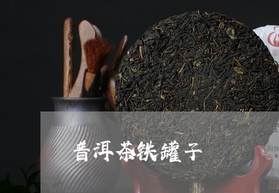 普洱茶铁罐子/2023042733484