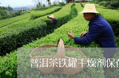 普洱茶铁罐干燥剂保存/2023092816179