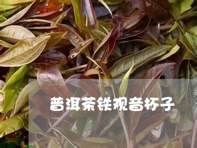 普洱茶铁观音杯子/2023101692835