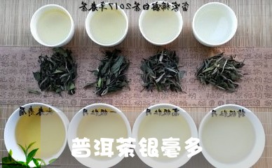 普洱茶银毫多/2023042795947