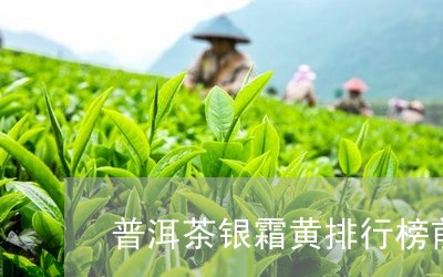 普洱茶银霜黄排行榜前十名/2023082538370