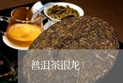 普洱茶银龙/2023090681823