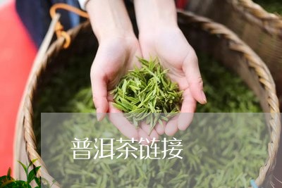 普洱茶链接/2023090639360