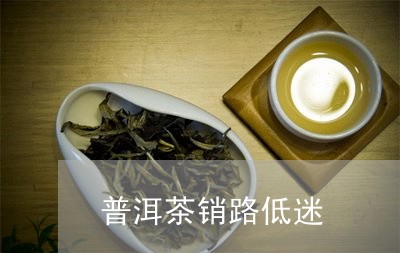 普洱茶销路低迷/2023110718271