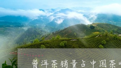 普洱茶销量占中国茶叶/2023073147582