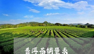 普洱茶销量表/2023042640334