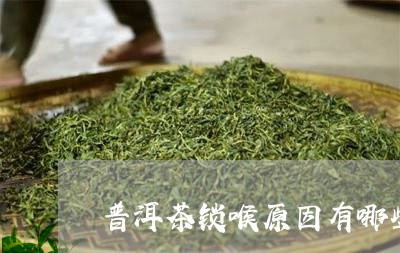 普洱茶锁喉原因有哪些/2023093025060