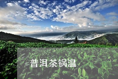 普洱茶锅温/2023090607251